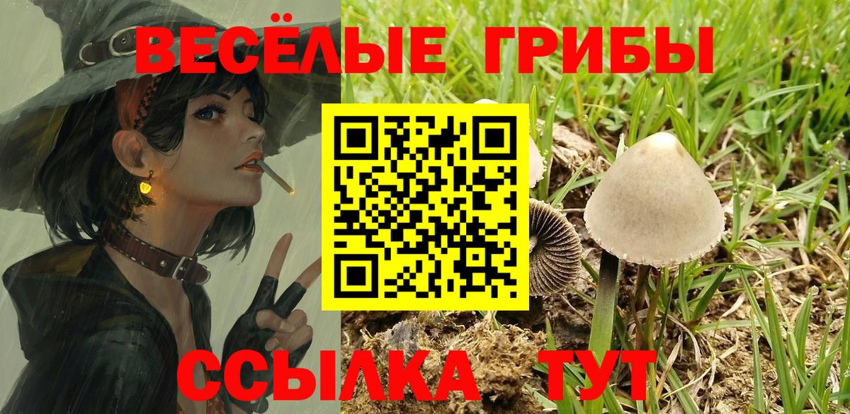Галлюциногенные грибы мицелий Мурманск