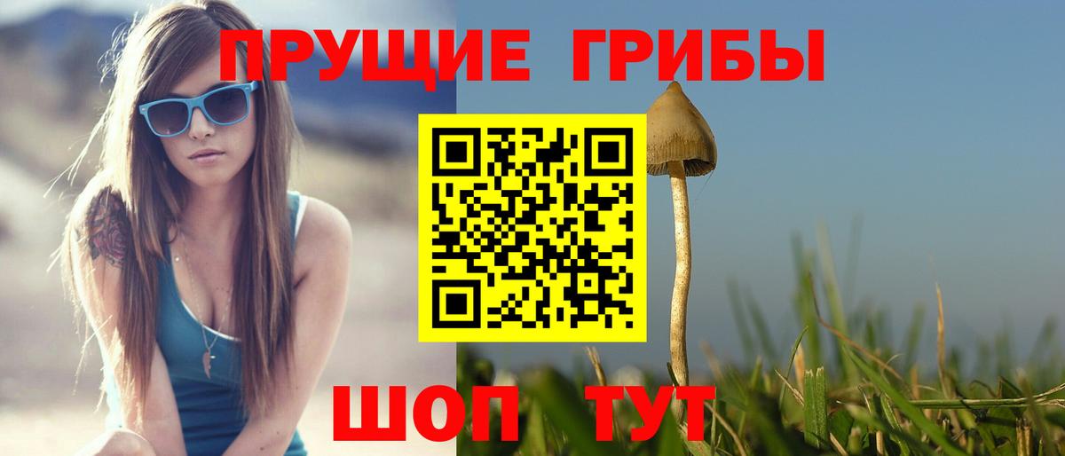 Псилоцибиновые грибы MAGIC MUSHROOMS  Вход с VPN  Мурманск 